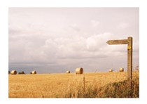 138 Signpost.jpg